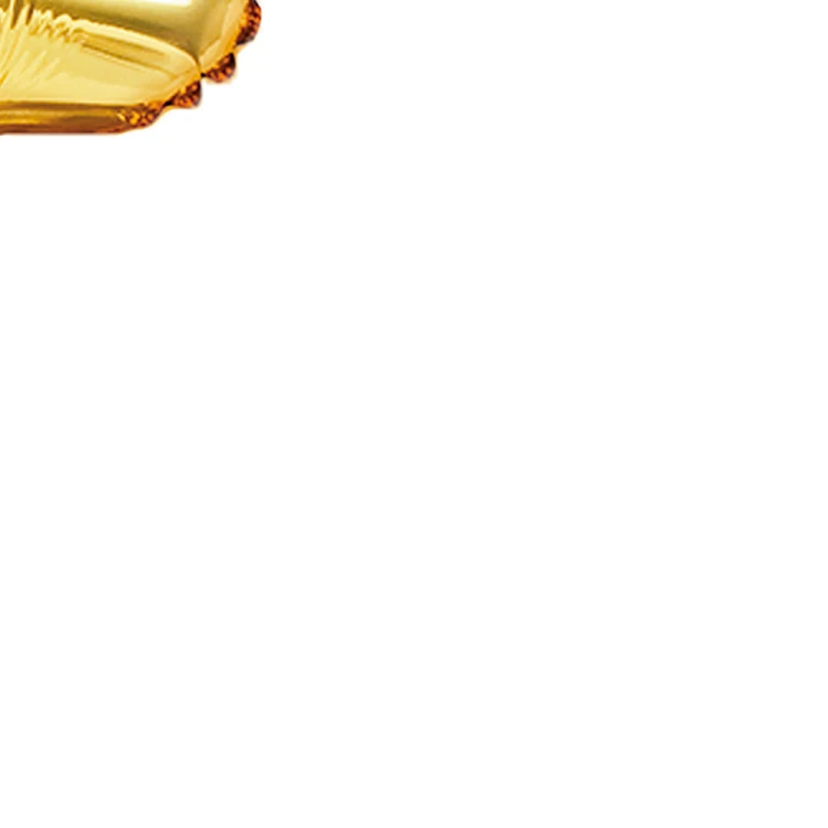 FB2M-F-019_01_H_04.jpg