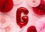FB2M-G-007_02_H.jpg