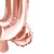 FB2M-Q-019R_01_H_04.jpg