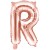 FB2M-R-019R_01_H.jpg