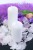 SKKMAT-008-OP_03_H.jpg