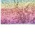 BC1-081I_01_H_03.jpg