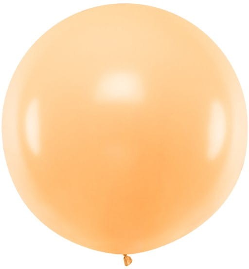 31154.jpg