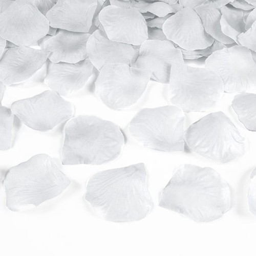 PLRD100-018_01_S — kopia.jpg