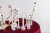 31665.jpg