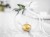 22801.jpg