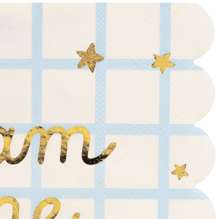 SP33-101_01_H-—-kopia_02.jpg